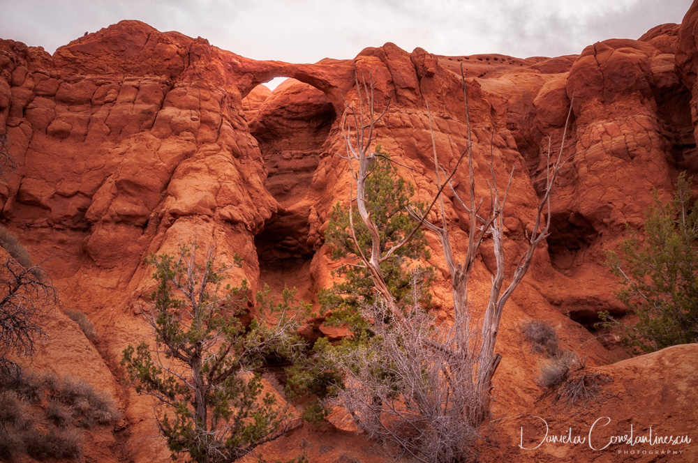 Kodachrome Basin State Park Natural Arch